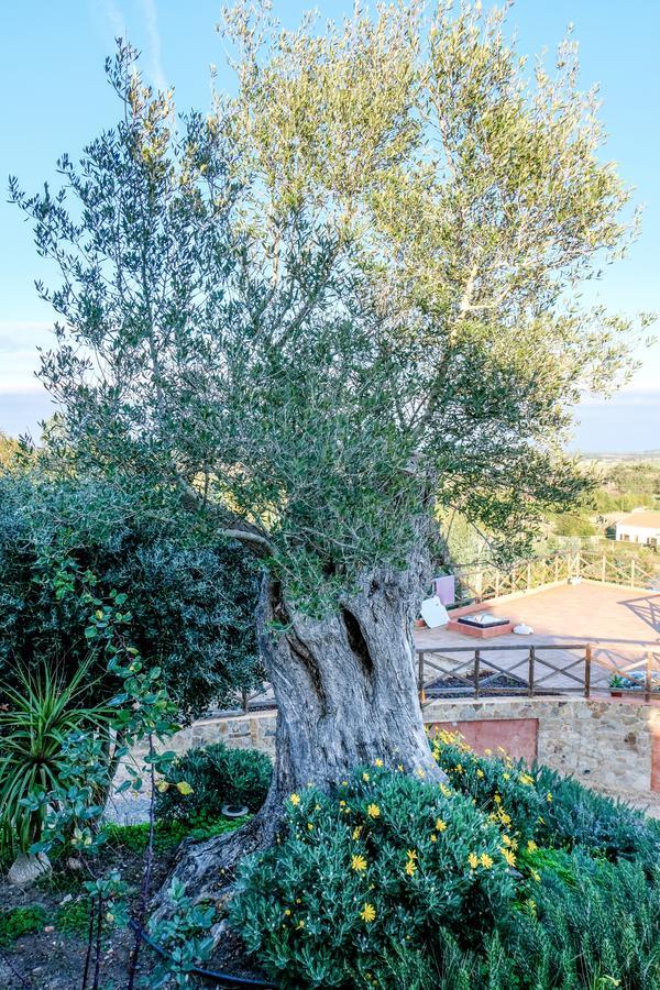 Monte Soalheiro Guest House Замбужейра до Мар Екстериор снимка