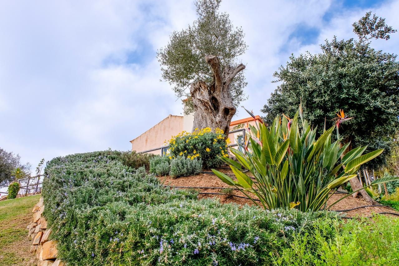 Monte Soalheiro Guest House Замбужейра до Мар Екстериор снимка